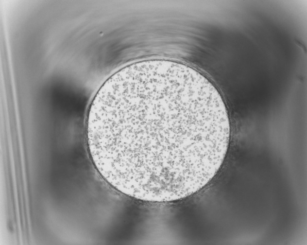 X0000103911532200810031201