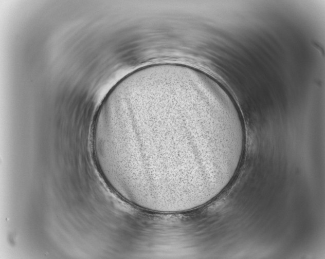 X0000103911533200810031201