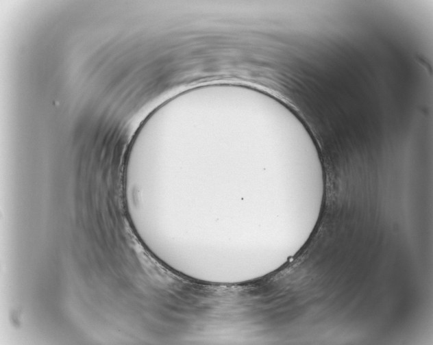 X0000103911534200810031201