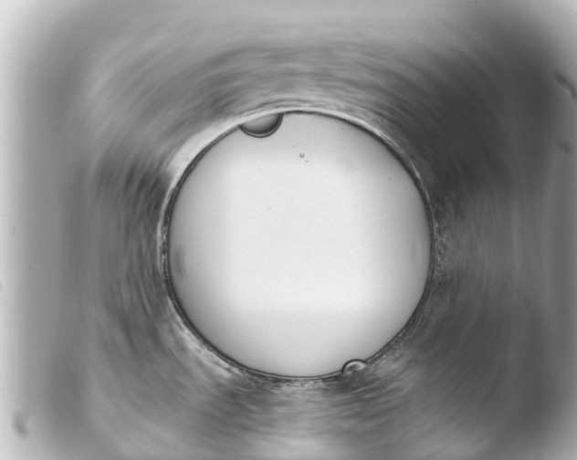 X0000103911535200810031201
