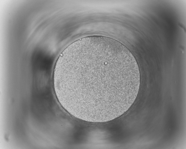 X0000103911536200810031201