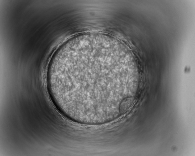 X0000103910002200810101318