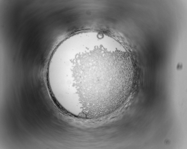 X0000103910003200810101318