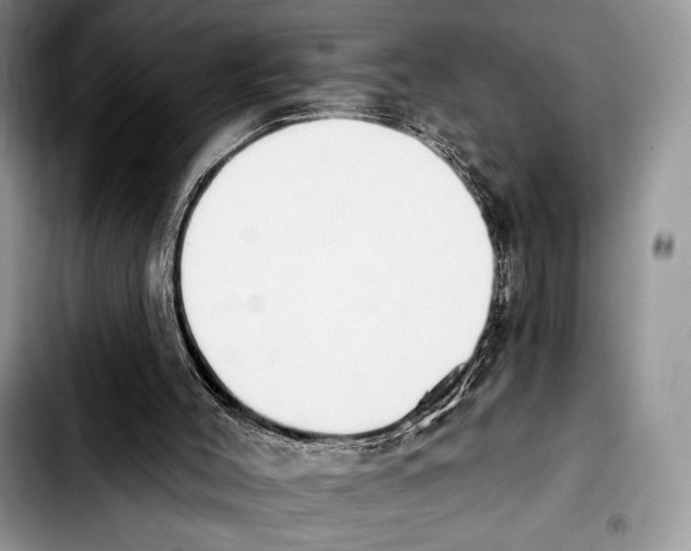 X0000103910004200810101318