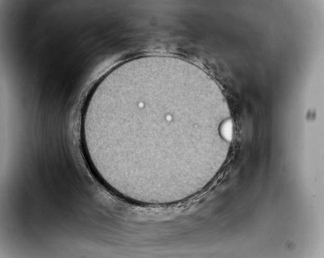 X0000103910005200810101318