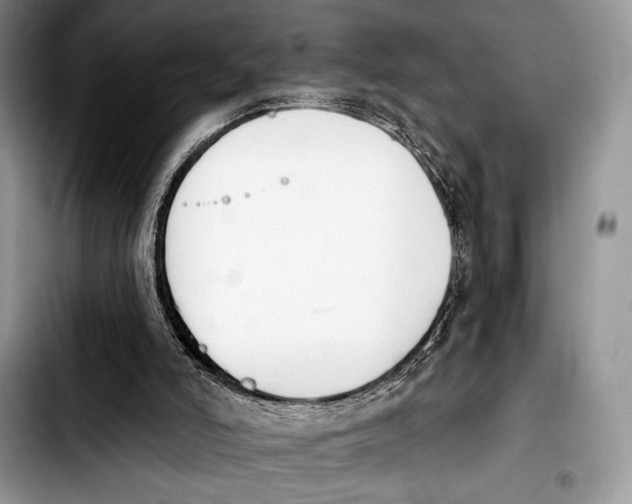 X0000103910006200810101318