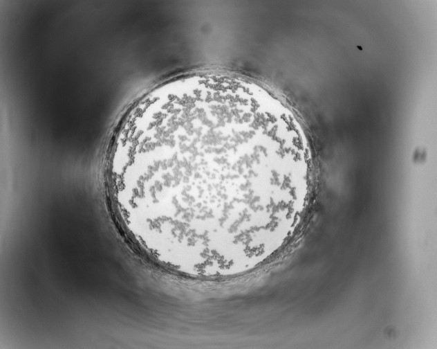 X0000103910007200810101318