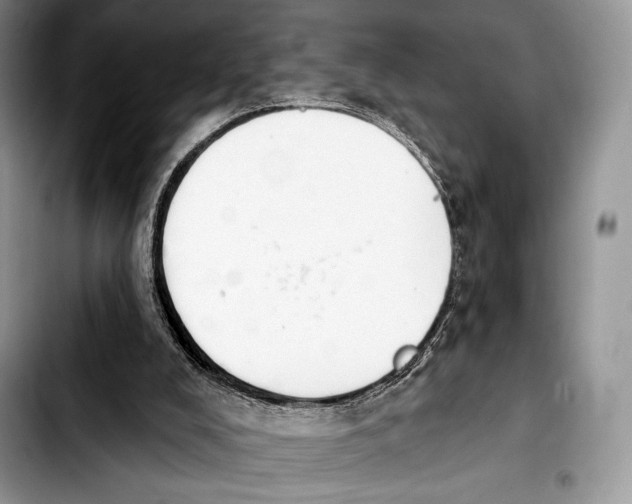 X0000103910008200810101318