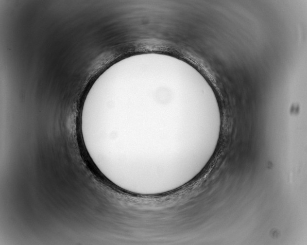 X0000103910010200810101318