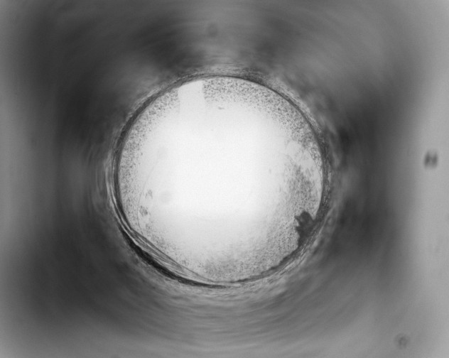 X0000103910011200810101318