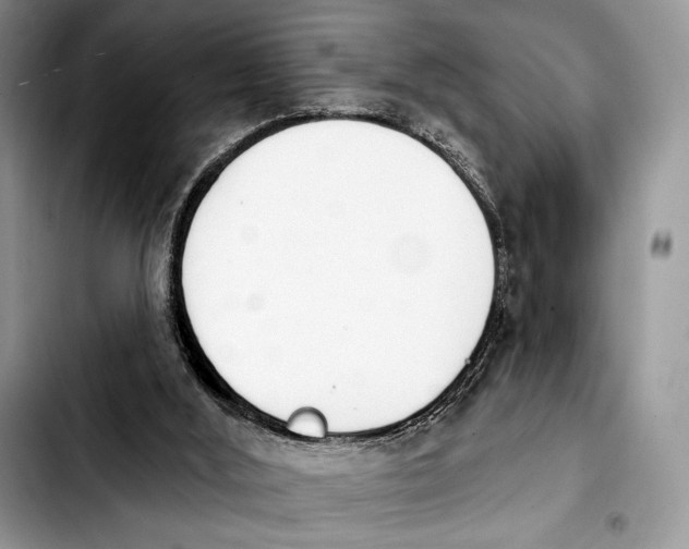 X0000103910012200810101318