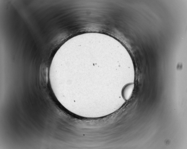 X0000103910013200810101318