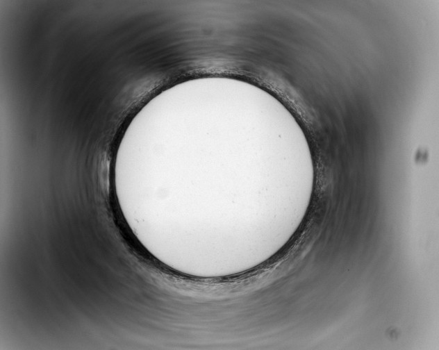 X0000103910014200810101318