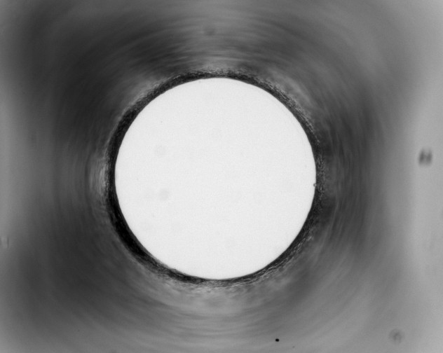 X0000103910016200810101318