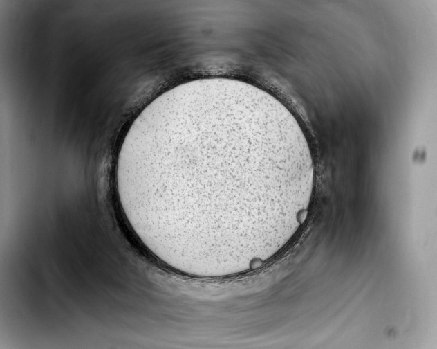 X0000103910018200810101318