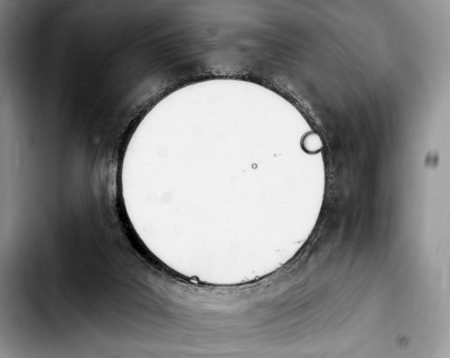 X0000103910019200810101318