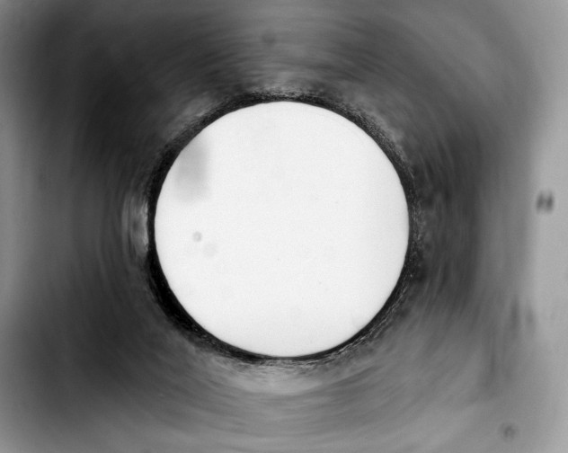 X0000103910020200810101318