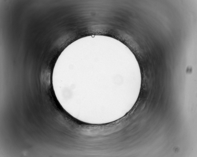 X0000103910021200810101318