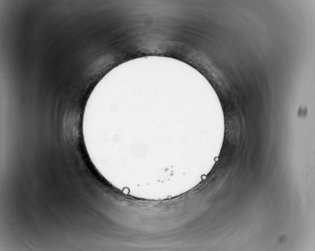 X0000103910023200810101317