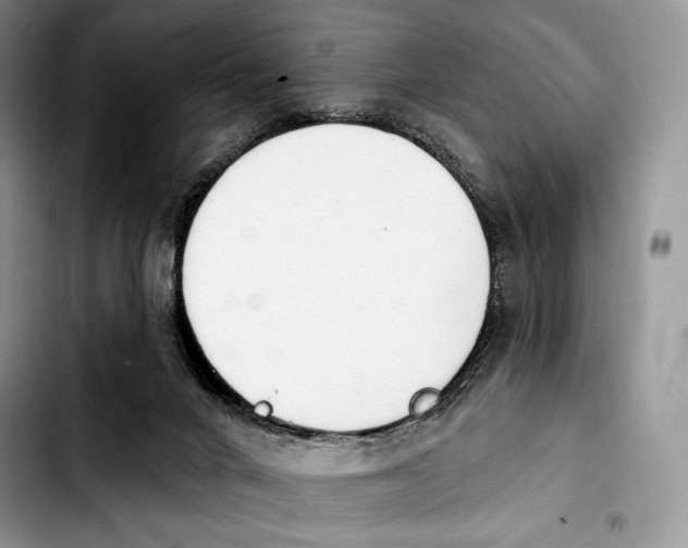 X0000103910024200810101317