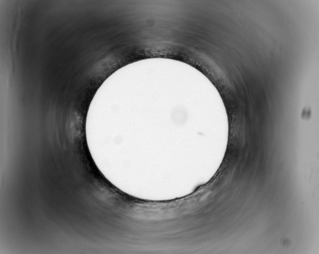 X0000103910025200810101317
