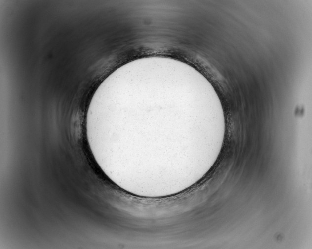 X0000103910026200810101317