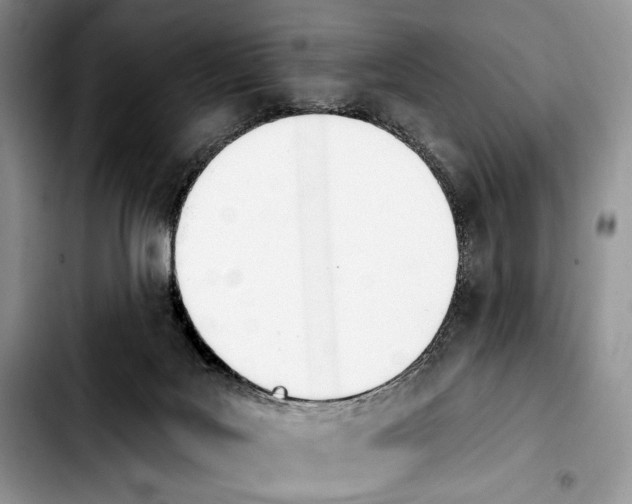 X0000103910027200810101317
