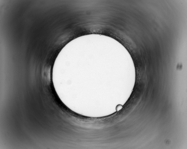 X0000103910028200810101317