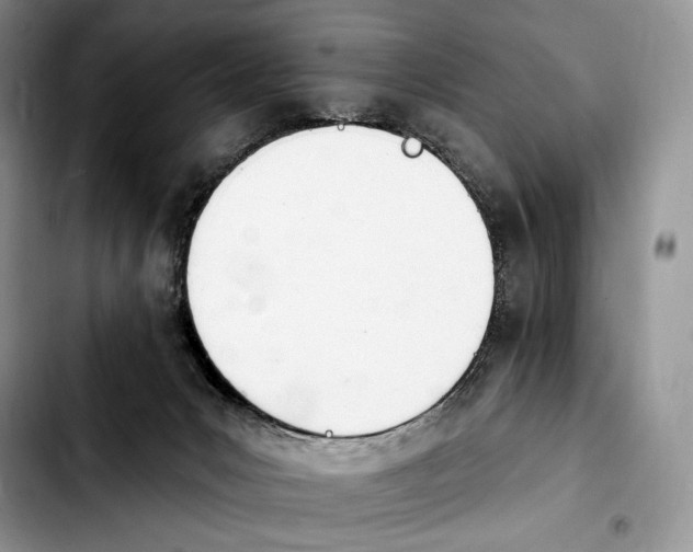X0000103910031200810101317