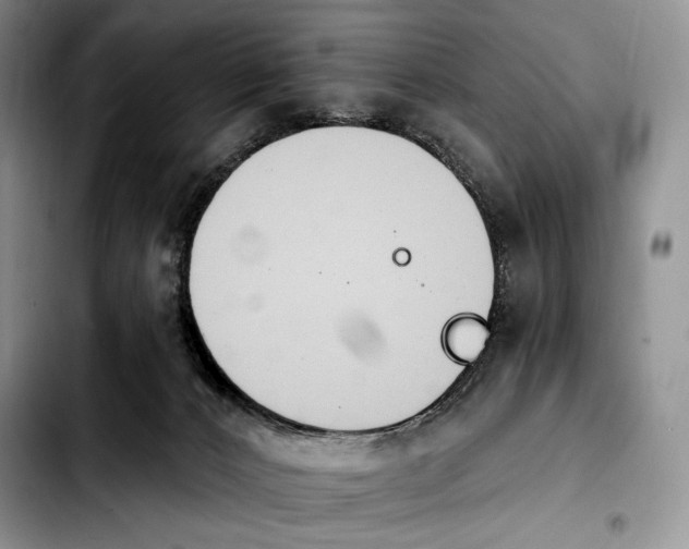 X0000103910032200810101317