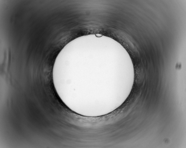 X0000103910034200810101317