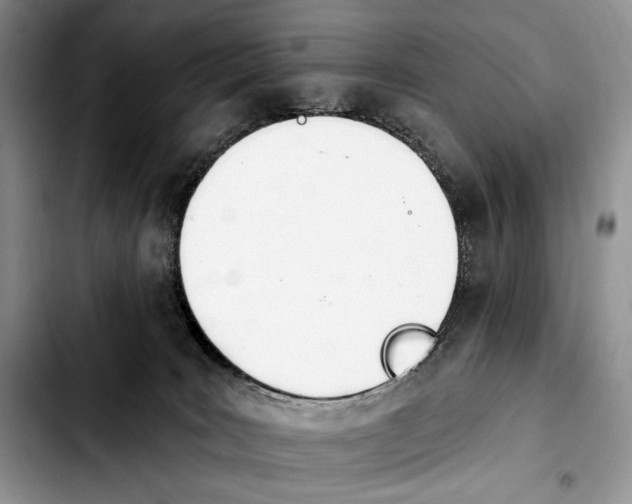 X0000103910035200810101317