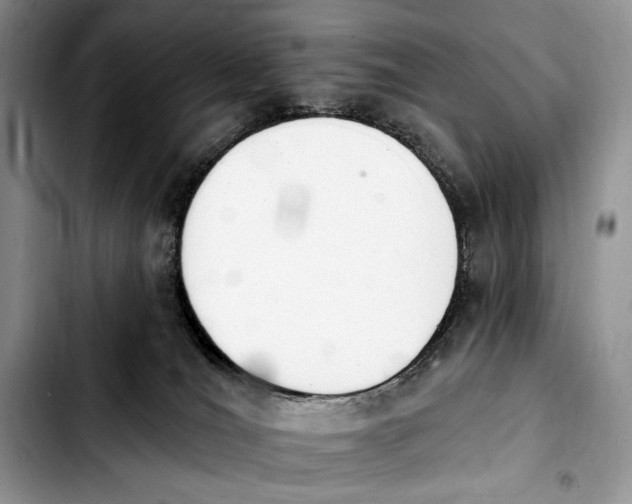 X0000103910036200810101317