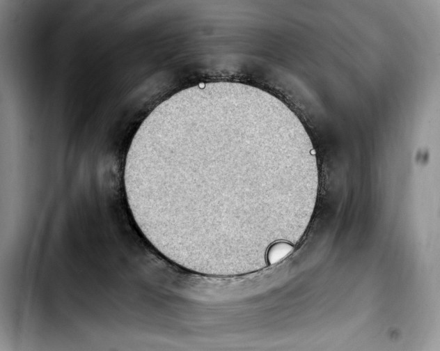 X0000103910037200810101317