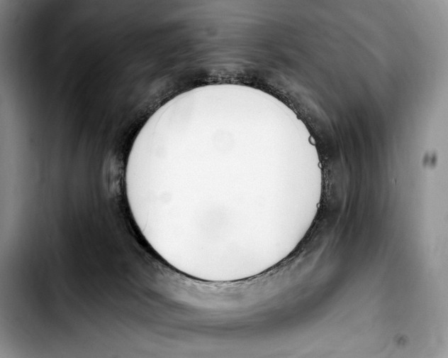 X0000103910038200810101317