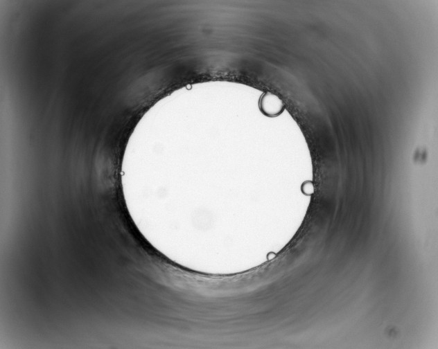 X0000103910039200810101317
