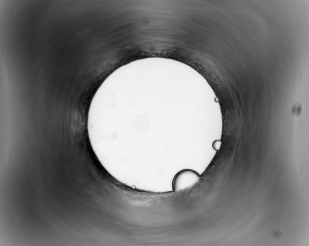 X0000103910040200810101317