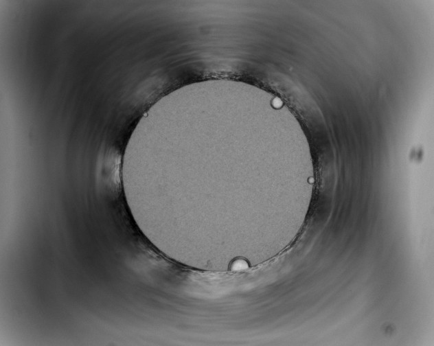 X0000103910041200810101317