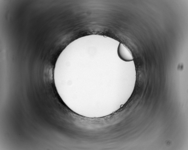 X0000103910042200810101317