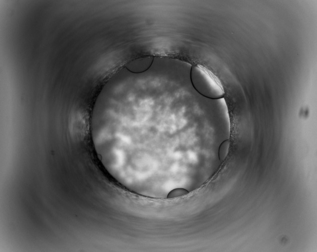 X0000103910043200810101317