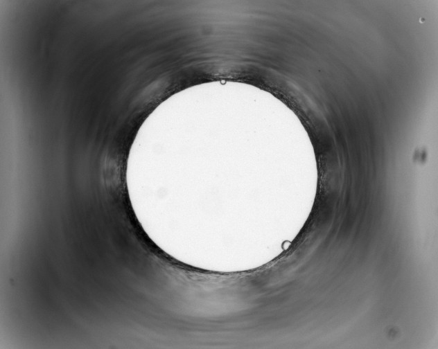 X0000103910044200810101317