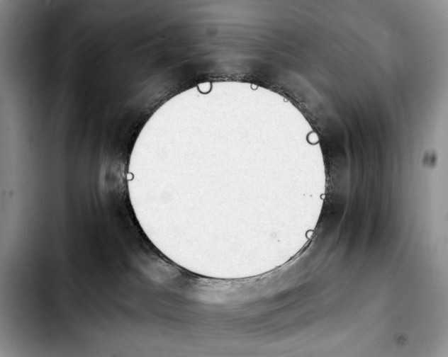 X0000103910045200810101317