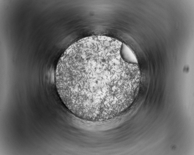 X0000103910046200810101317