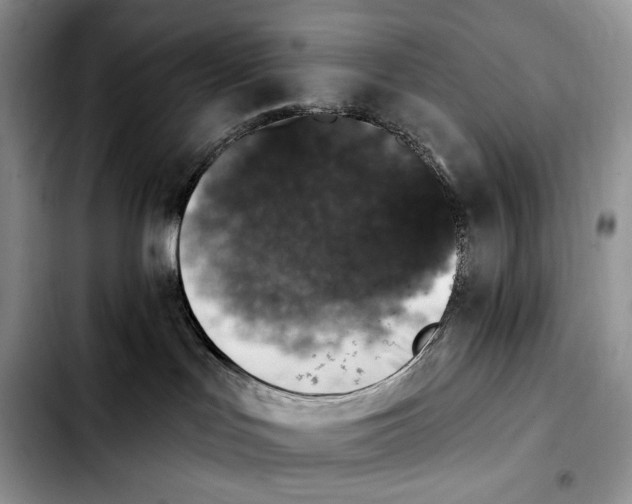 X0000103910047200810101317