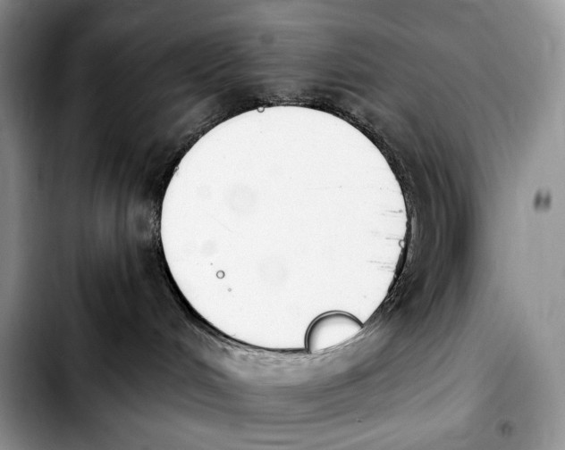 X0000103910048200810101317