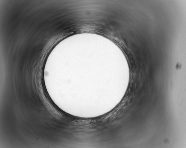 X0000103910049200810101316