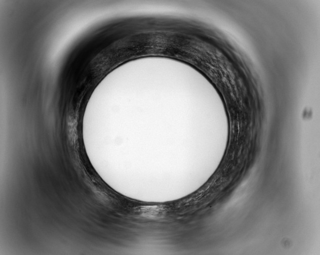 X0000103910050200810101316