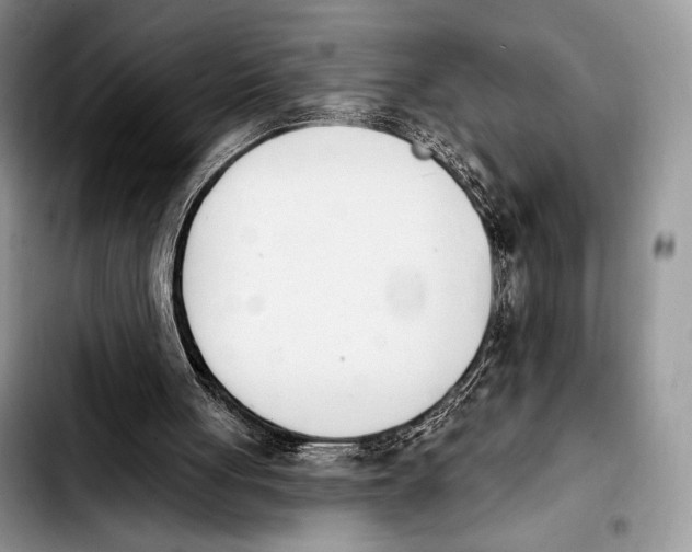 X0000103910051200810101316