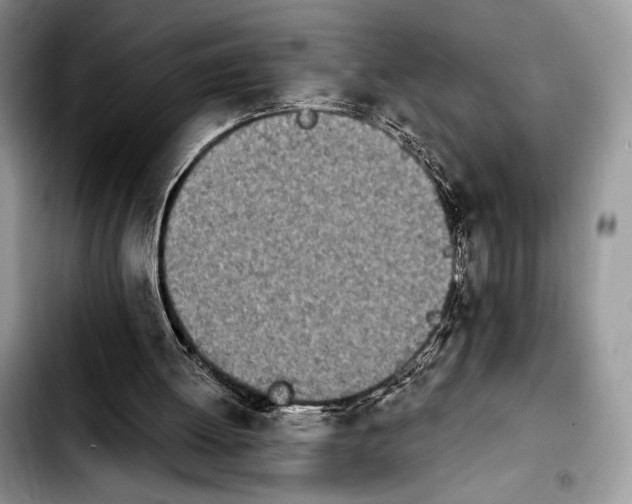 X0000103910052200810101317