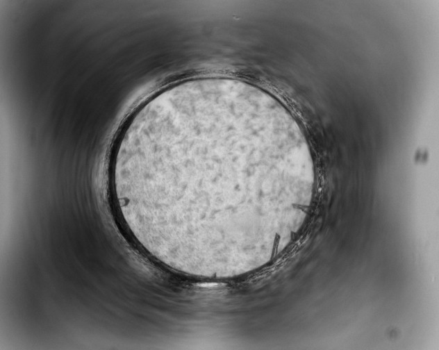 X0000103910053200810101317
